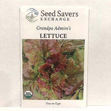 Grandpa Admire's Lettuce, 1800's Heirloom, Organic